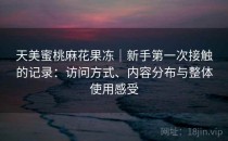 天美蜜桃麻花果冻｜新手第一次接触的记录：访问方式、内容分布与整体使用感受