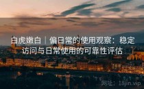 白虎嫩白｜偏日常的使用观察：稳定访问与日常使用的可靠性评估