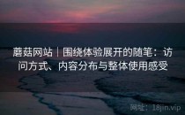 蘑菇网站｜围绕体验展开的随笔：访问方式、内容分布与整体使用感受