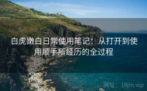 白虎嫩白日常使用笔记：从打开到使用顺手所经历的全过程
