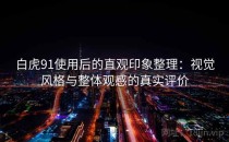 白虎91使用后的直观印象整理：视觉风格与整体观感的真实评价