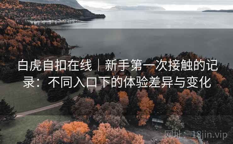 白虎自扣在线｜新手第一次接触的记录：不同入口下的体验差异与变化  第1张