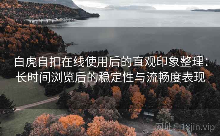 白虎自扣在线使用后的直观印象整理：长时间浏览后的稳定性与流畅度表现  第2张