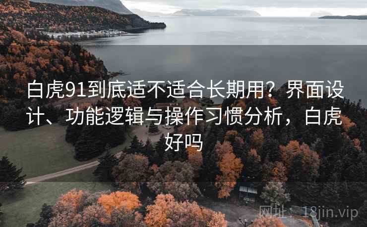 白虎91到底适不适合长期用?界面设计、功能逻辑与操作习惯分析,白虎好吗 第2张 白虎91到底适不适合长期用?界面设计、功能逻辑与操作习惯分析,白虎好吗 第2张