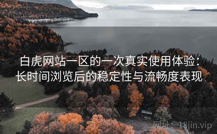 白虎网站一区的一次真实使用体验：长时间浏览后的稳定性与流畅度表现  第1张