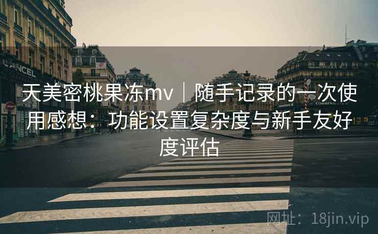 天美密桃果冻mv|随手记录的一次使用感想:功能设置复杂度与新手友好度评估 第2张 天美密桃果冻mv|随手记录的一次使用感想:功能设置复杂度与新手友好度评估 第2张