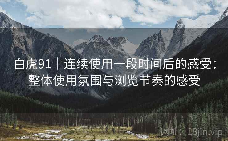 白虎91|连续使用一段时间后的感受:整体使用氛围与浏览节奏的感受 第2张 白虎91|连续使用一段时间后的感受:整体使用氛围与浏览节奏的感受 第2张