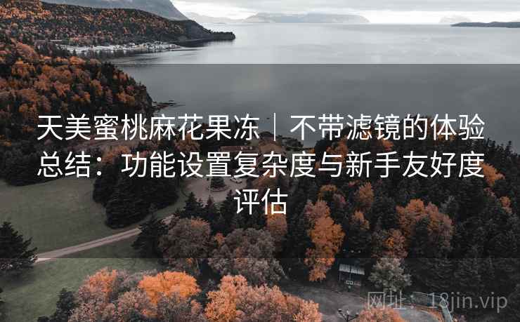 天美蜜桃麻花果冻|不带滤镜的体验总结:功能设置复杂度与新手友好度评估 第1张 天美蜜桃麻花果冻|不带滤镜的体验总结:功能设置复杂度与新手友好度评估 第1张