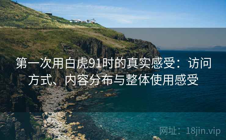 第一次用白虎91时的真实感受:访问方式、内容分布与整体使用感受 第1张 第一次用白虎91时的真实感受:访问方式、内容分布与整体使用感受 第1张