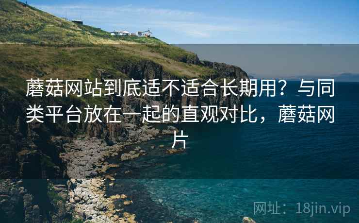 蘑菇网站到底适不适合长期用?与同类平台放在一起的直观对比,蘑菇网片 第2张 蘑菇网站到底适不适合长期用?与同类平台放在一起的直观对比,蘑菇网片 第2张